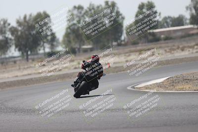 media/Jul-13-2025-Pacific Track Time (Sun) [[819660bca7]]/C Group/1140am (Pit lane and Turn 1)/